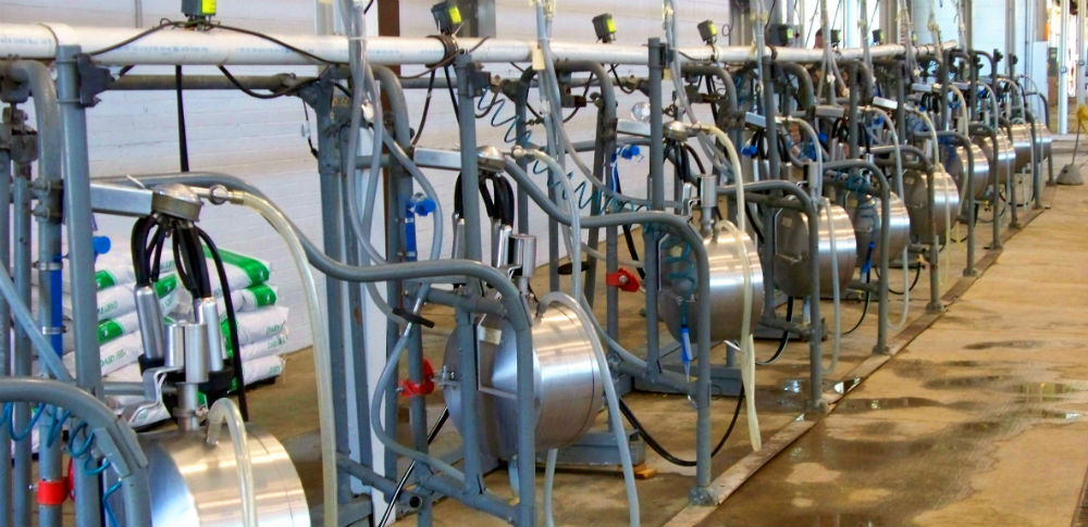 food processing pixlr